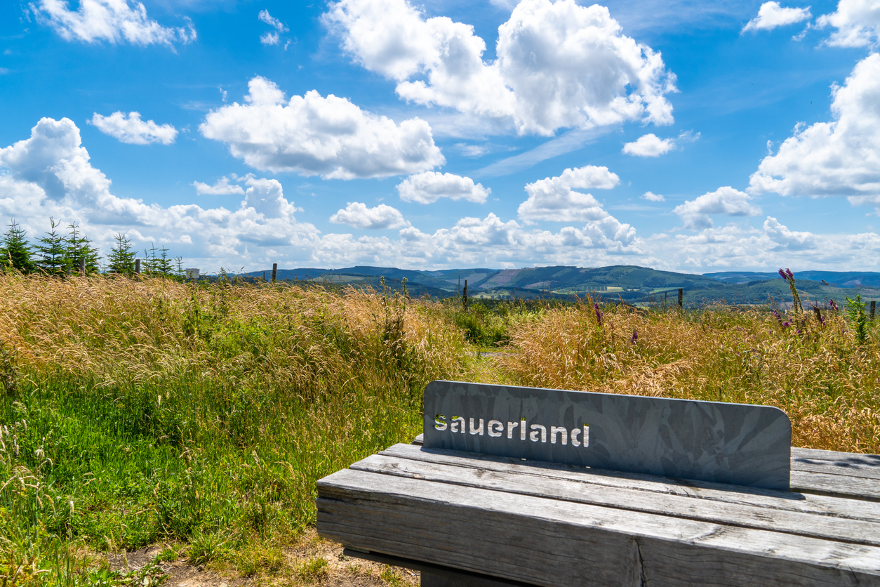 Hiking area in the Sauerland. Nature near the Hubertushöhe between Arnsberg and Sundern.