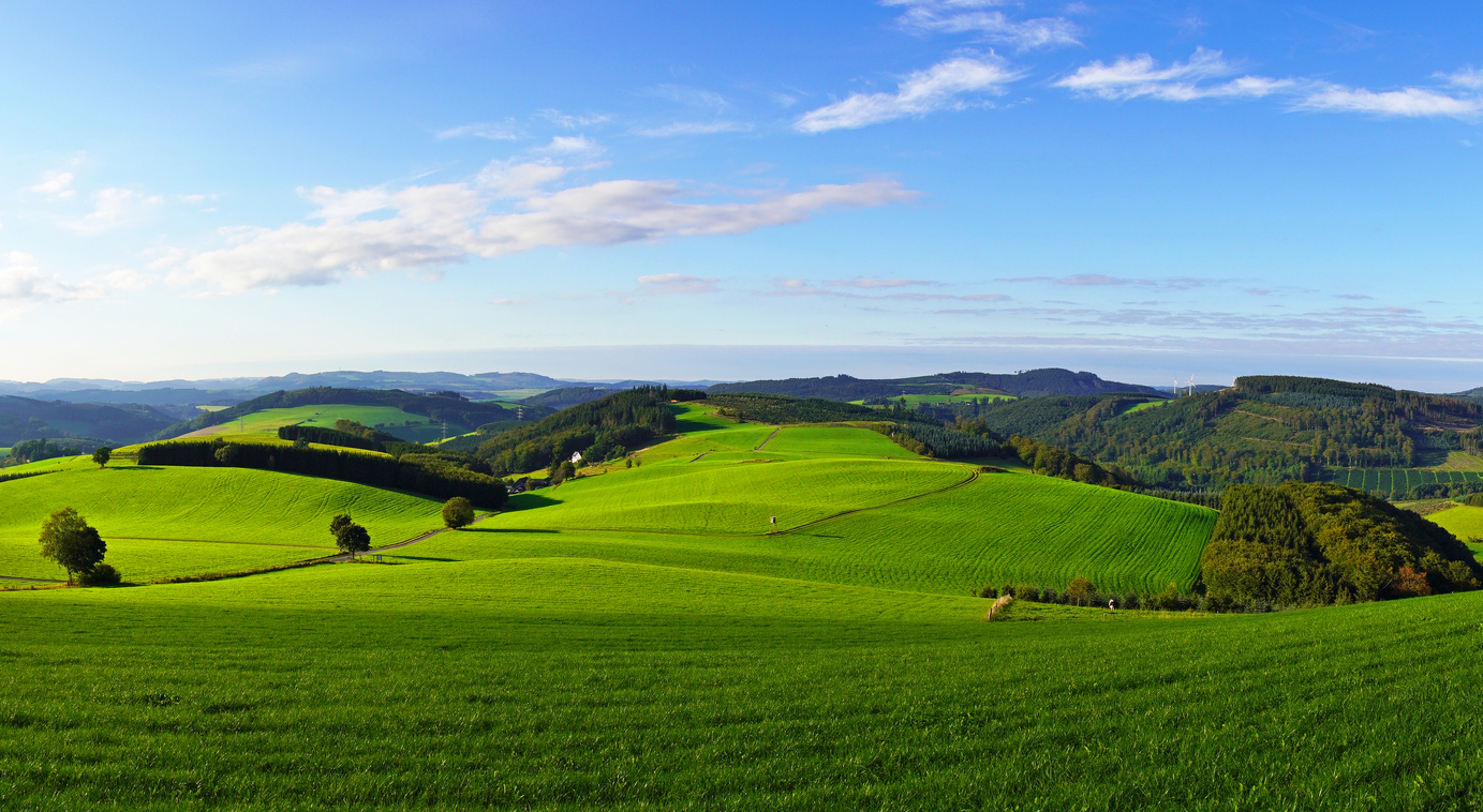 Aerial shot of a beautiful forest in Sauerland, Germany